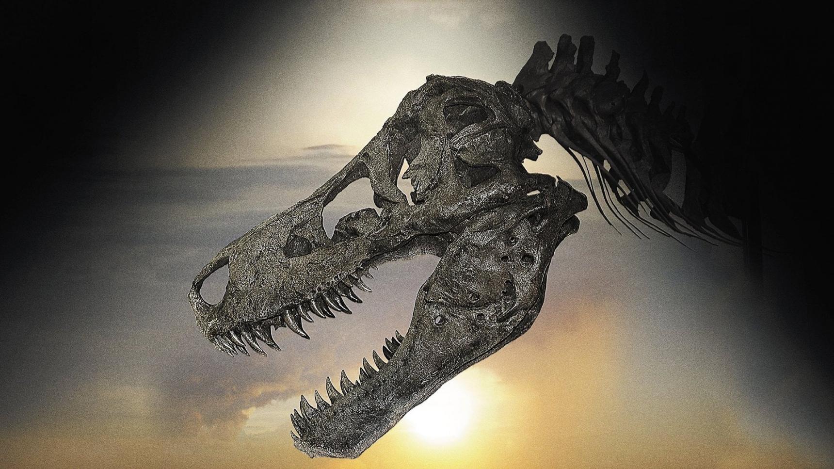 Fondo de pantalla de la película Dinosaur 13 en PELISPEDIA gratis