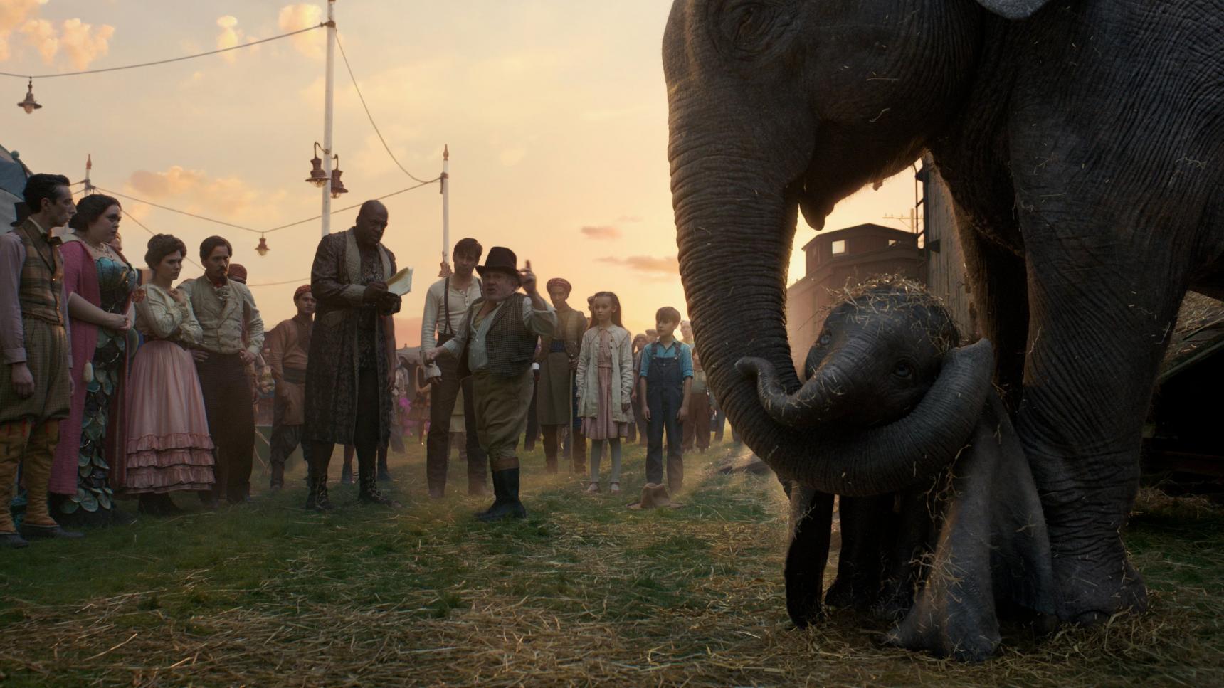 Fondo de pantalla de la película Dumbo en PELISPEDIA gratis