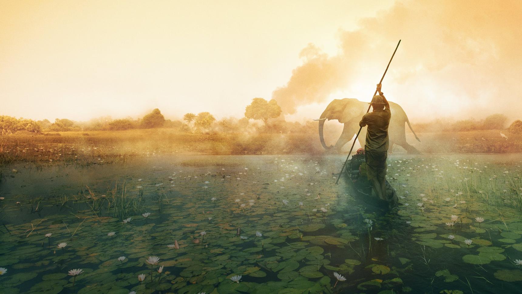 Fondo de pantalla de la película Into the Okavango en PELISPEDIA gratis
