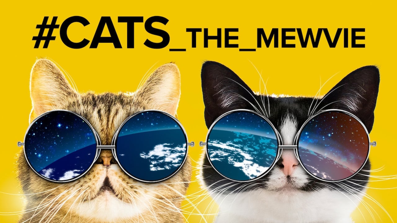 categorias de #cats_the_mewvie