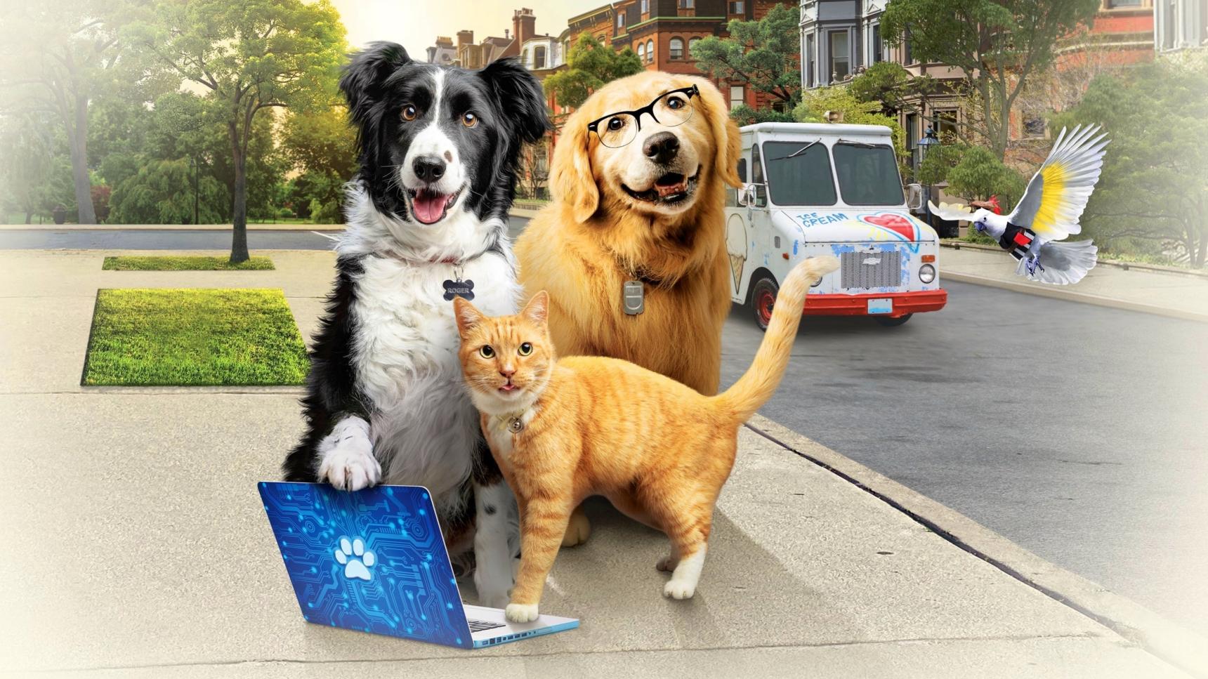 Fondo de pantalla de la película Como perros y gatos: La patrulla unida en PELISPEDIA gratis