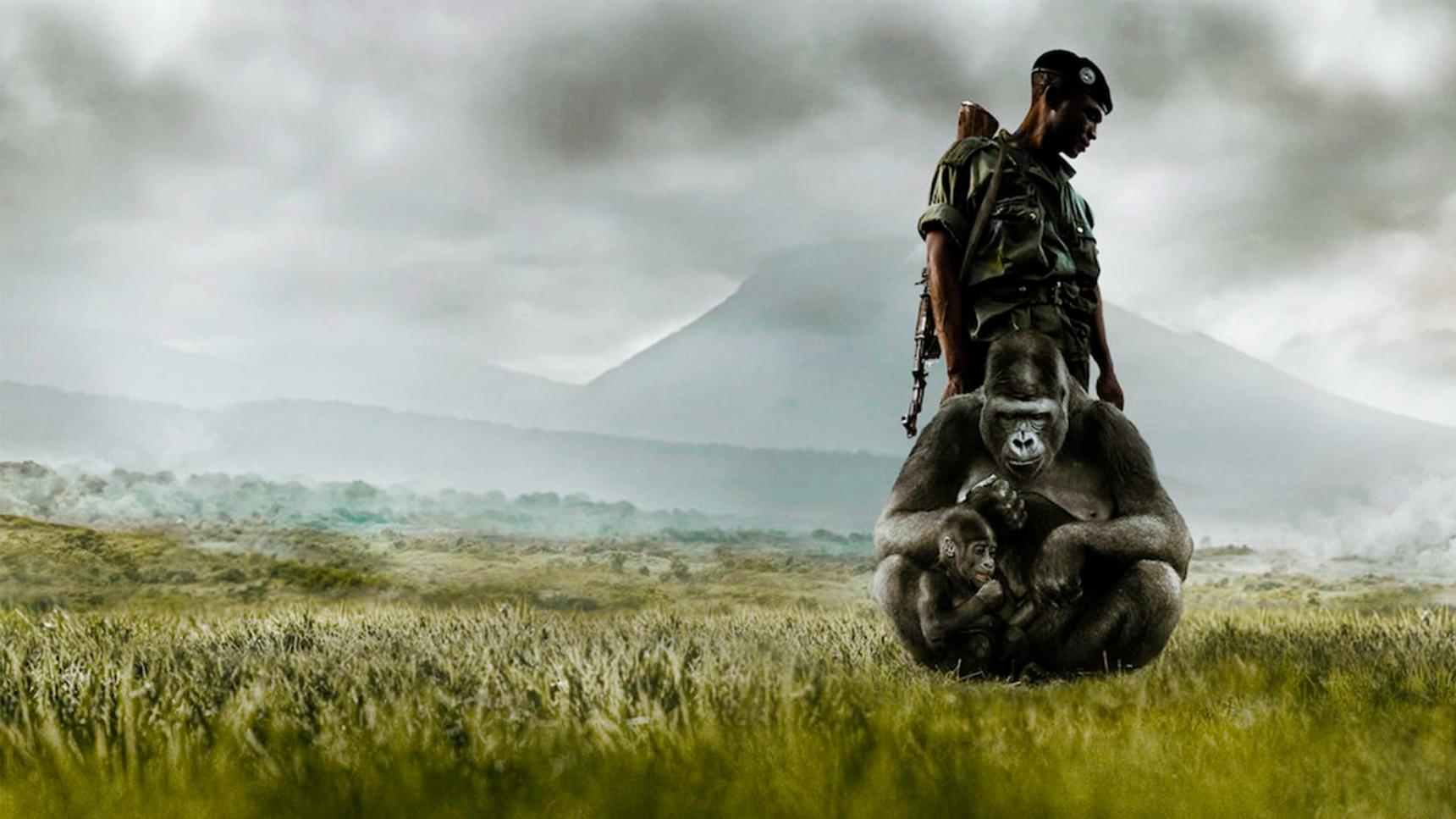 Fondo de pantalla de la película Virunga en PELISPEDIA gratis