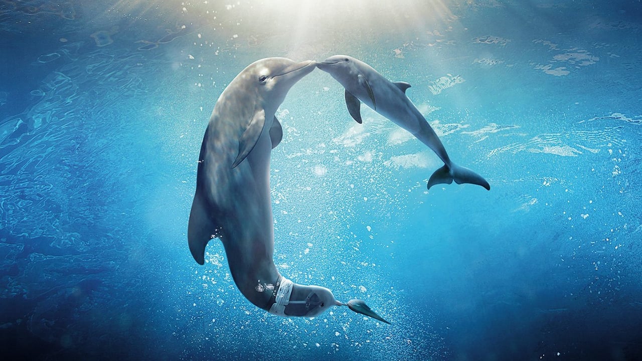 Fondo de pantalla de la película La gran aventura de Winter el delfín 2 en PELISPEDIA gratis