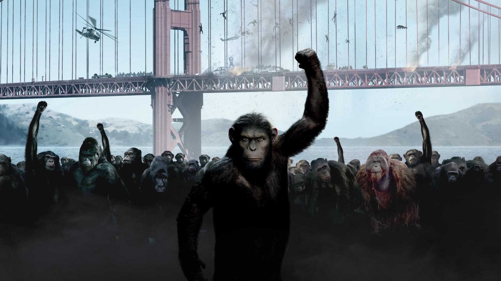 Fondo de pantalla de la película El origen del planeta de los simios en PELISPEDIA gratis