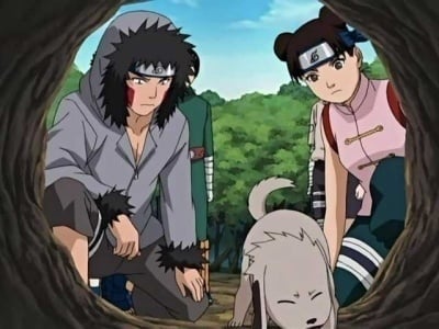 Poster del episodio 199 de Naruto online