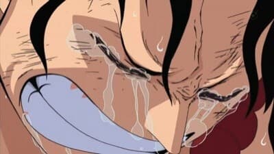 Poster del episodio 477 de One Piece online