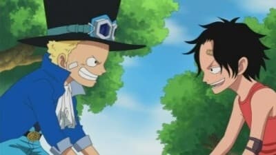 Poster del episodio 494 de One Piece online