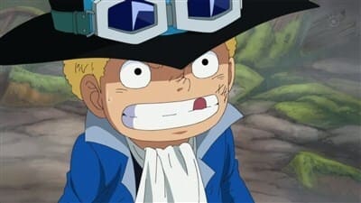 Poster del episodio 500 de One Piece online