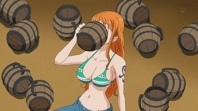 Poster del episodio 569 de One Piece online