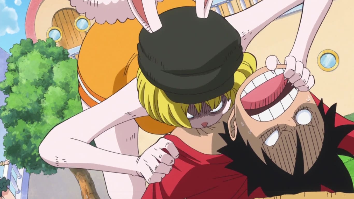 Poster del episodio 778 de One Piece online