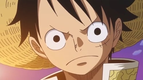 Poster del episodio 790 de One Piece online