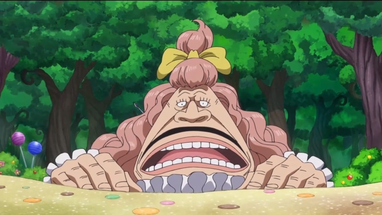 Poster del episodio 792 de One Piece online