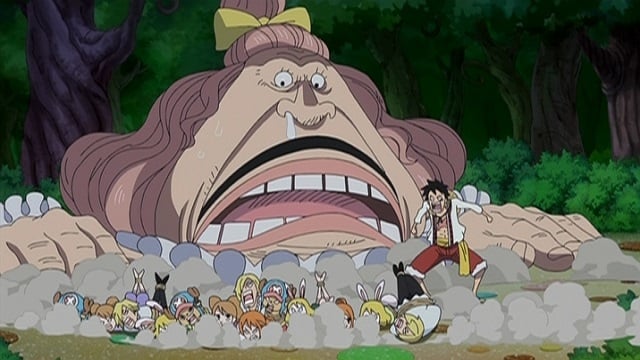 Poster del episodio 796 de One Piece online