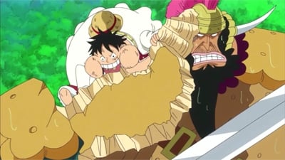 Poster del episodio 805 de One Piece online