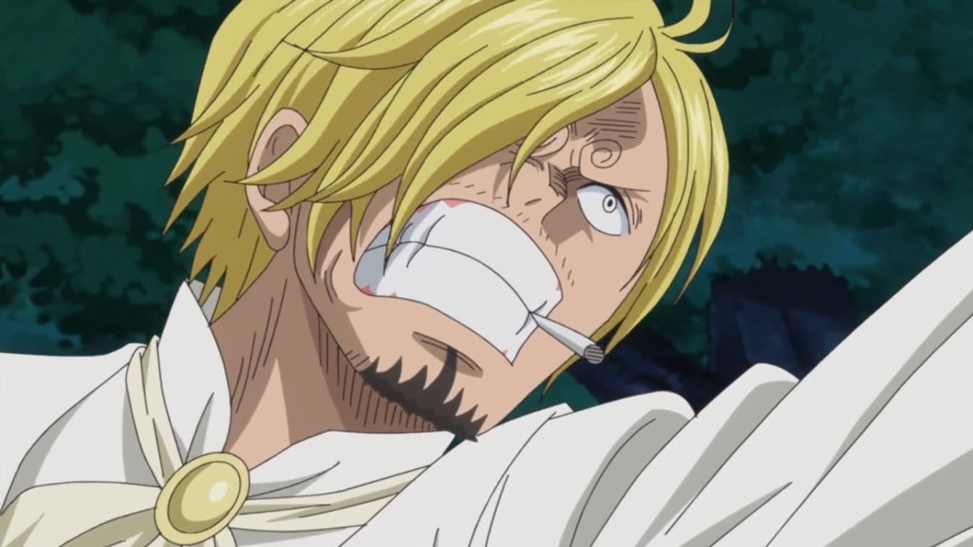 Poster del episodio 848 de One Piece online