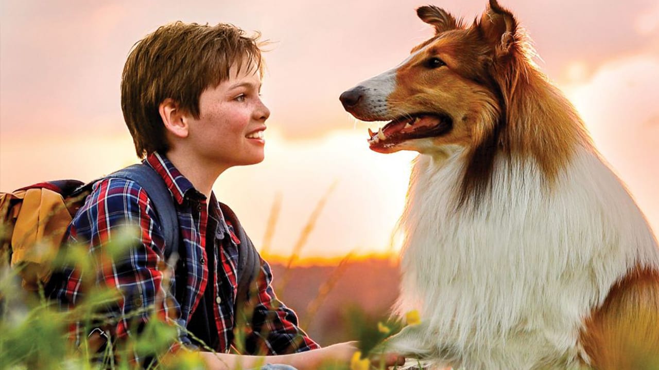 Fondo de pantalla de la película Lassie Vuelve a Casa en PELISPEDIA gratis