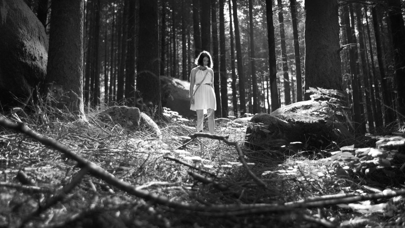 Fondo de pantalla de la película El Bosque de las Almas Perdidas en PELISPEDIA gratis