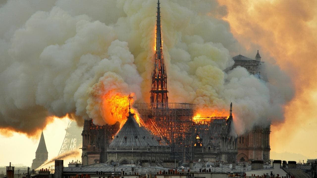 Fondo de pantalla de la película Arde Notre Dame en PELISPEDIA gratis