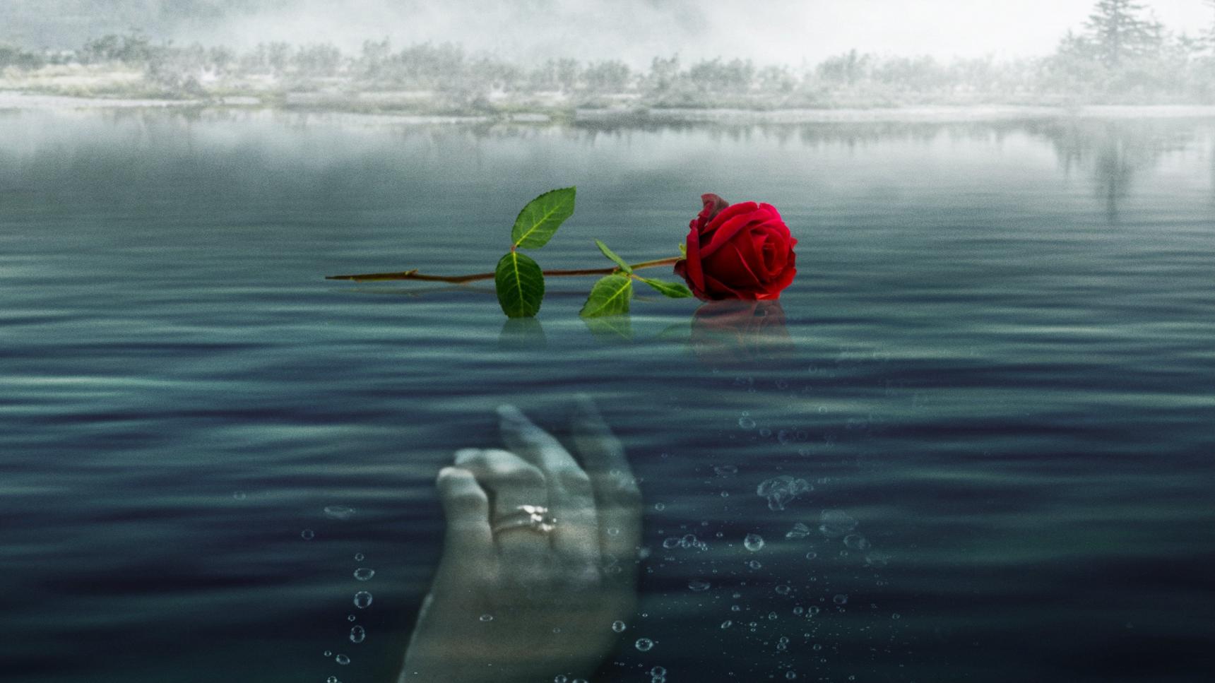 Fondo de pantalla de la película A Rose for Her Grave: The Randy Roth Story en PELISPEDIA gratis