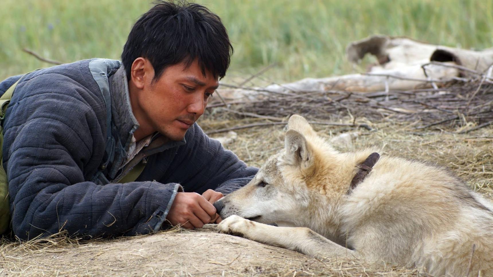 Fondo de pantalla de la película El último lobo en PELISPEDIA gratis