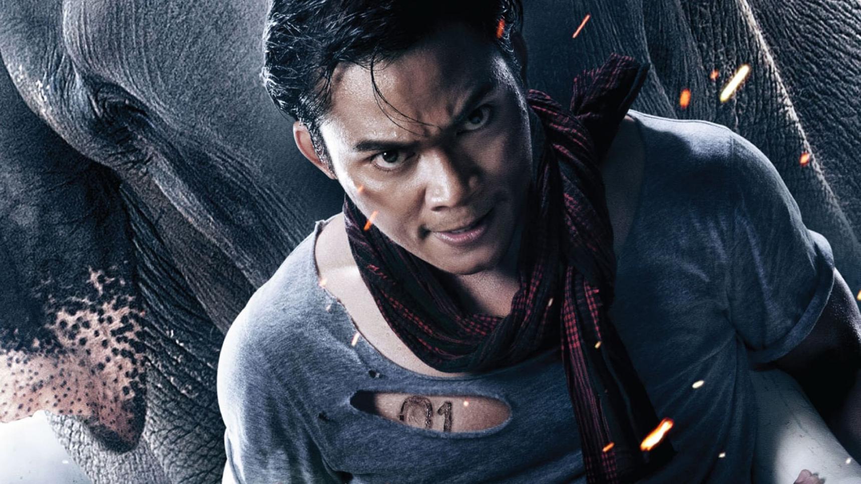 Fondo de pantalla de la película Thai Dragon 2: El Protector en PELISPEDIA gratis