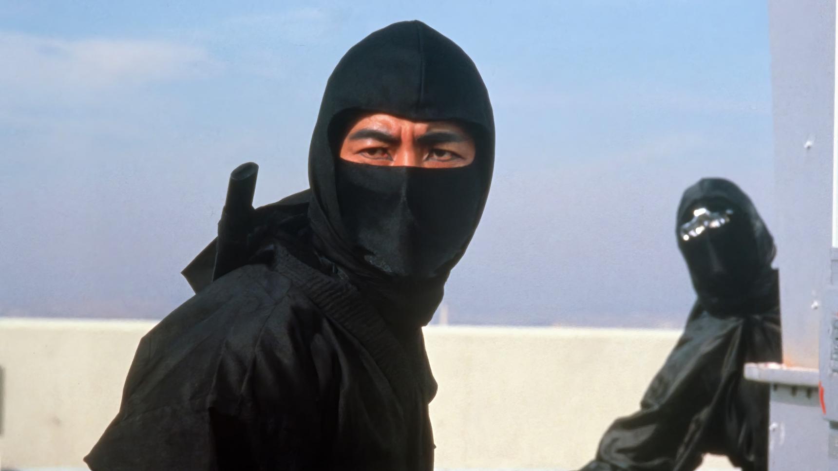 Fondo de pantalla de la película La venganza de Ninja en PELISPEDIA gratis