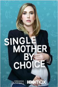 poster de la pelicula Single Mother by Choice gratis en HD