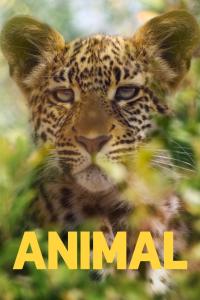 poster de la serie Animal online gratis