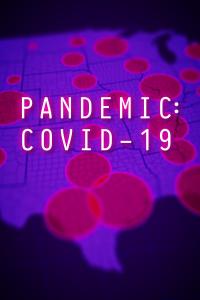 Poster Pandemia: COVID-19