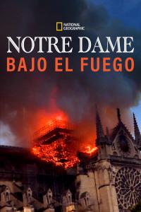 generos de Notre-Dame : Carrera contra el infierno