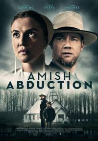 poster de la pelicula El caso Amish gratis en HD