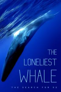 poster de la pelicula The Loneliest Whale: The Search for 52 gratis en HD