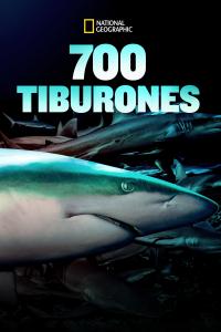 Elenco de 700 Tiburones