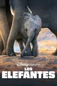 resumen de Los Elefantes