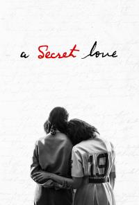 poster de la pelicula Un Amor Secreto gratis en HD