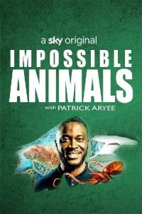 poster de la serie Impossible Animals online gratis