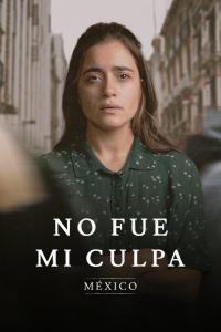 poster de la serie No fue mi culpa: México online gratis