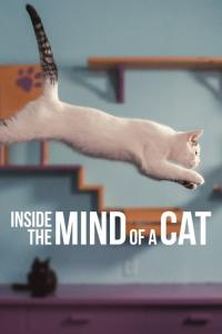 poster de la pelicula Inside the Mind of a Cat gratis en HD
