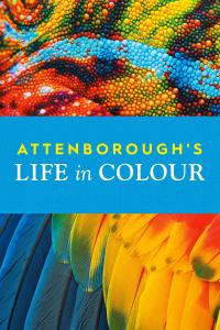 poster de La vida a color con David Attenborough, temporada 1, capítulo 3 gratis HD