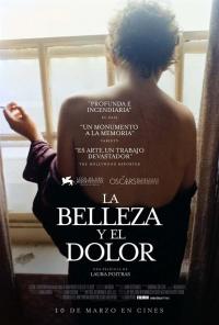 poster de la pelicula La Belleza y el Dolor gratis en HD
