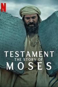 Poster Testamento: La historia de Moisés