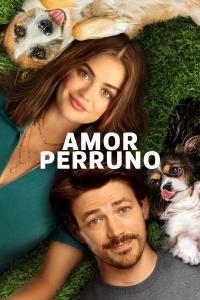poster de la pelicula Amor de cachorros gratis en HD
