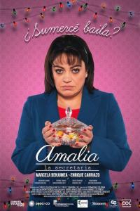 Poster Amalia, la secretaria