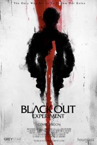 resumen de The Blackout Experiment